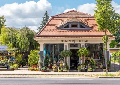 Blumenladen-Blumenhalle-Boehme-Dresden-Ost-Tolkewitz-2026