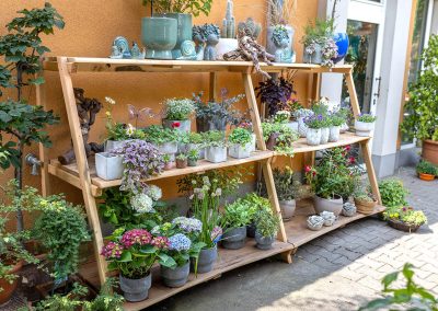 F1004-Geschaeft Blumenhalle Boehme Toepfe